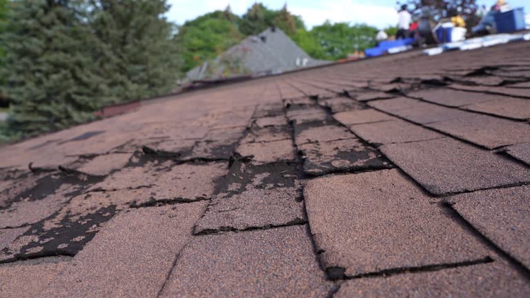 Best Roof Maintenance and Cleaning  in Fairbanks Ranch, CA